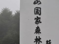 -四明山国家森林公园