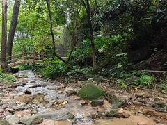 -火炉山森林公园