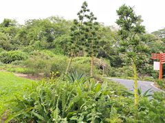 -广西壮族自治区药用植物园