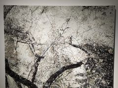 -上海宝龙美术馆