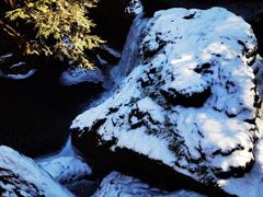 -龙苍沟森林公园