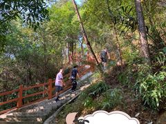 -广州白江湖森林公园