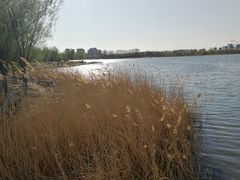 景点-南海子公园