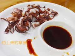-枸杞岛