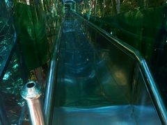 -王顺山国家森林公园
