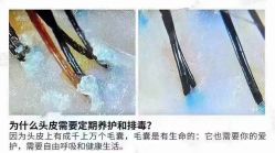 -希梵尔头皮抗衰·科技养发