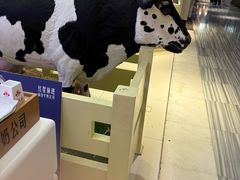 -红星前进面包牛奶公司(君太店)