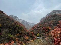 -黄花溪