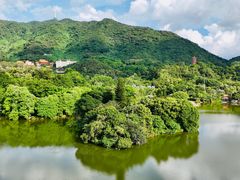 -深圳仙湖植物园