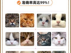 -爱侣宠医·鹦鹉专科·小型哺乳类·异宠专科(灵石路店)