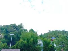 -九龙江国家森林公园