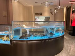 -阿庄新豫菜(航海东路店)