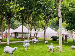 -九十九顶毡房(阜石路店)