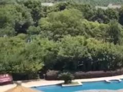-苏州环秀晓筑养生度假村