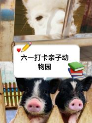 -萌宠亲子动物乐园(槐房万达店)