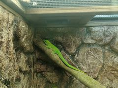 -广州长隆飞鸟乐园
