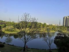 -王借岗森林公园