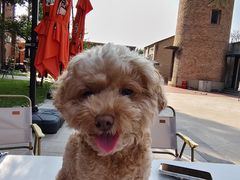 -小意思咖啡店(草桥店)