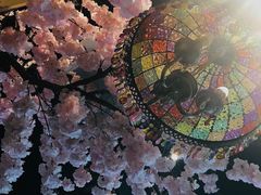 -糯雅芳粥(东亭店)
