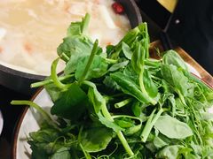-伊兰麒兰馨园·川菜·清真馆(339电视塔店)