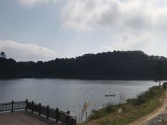 -海南热带雨林国家公园吊罗山景区