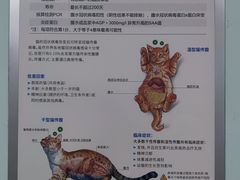 -北京观赏动物医院·24小时大型综合·猫专科·异宠专科