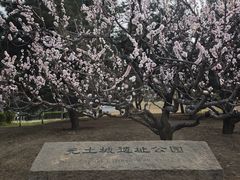 -元大都城垣遗址公园