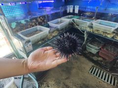 -阿军排档·烧烤