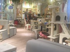 大堂-小时光咖啡馆(开森度假森林店)