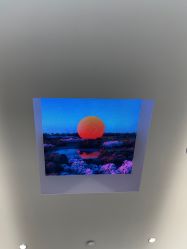 -纯粹医美