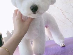 -福懋动物医院·犬猫全科·外科·重症科(杏林分院)