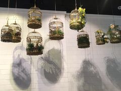景观位-一笼小幸运