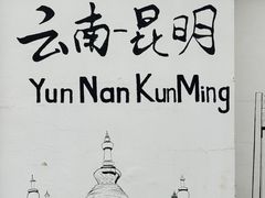 -一朵菌·野生菌探索家火锅(南亚店)