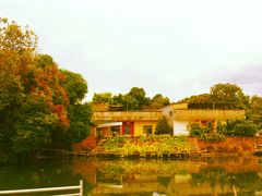 景点-皇思扬古围村