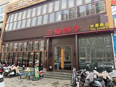 -三强鸽子(中原路店)