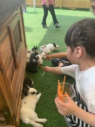 -萌宠亲子动物乐园(槐房万达店)