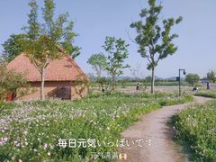 -良渚古城遗址公园