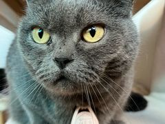 -春笙食堂.丼饭拉面寿司(GOGO新天地店)