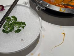 -陈记顺和潮汕牛肉火锅(番禺迎宾大道店)