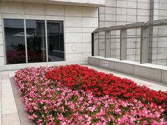 -SFC上影影城(港汇永华IMAX激光店)