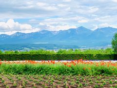 -富田农场