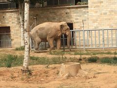 -石家庄市动物园