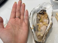 大生蚝-海味当家·蒸锅海鲜(中山广场创始店)