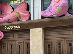 -帕帕拉兹宠物(亚洲旗舰店)