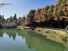 -捞渔河湿地公园