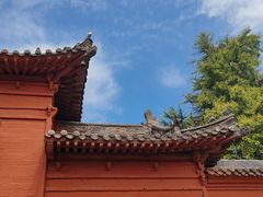 -洛阳白马寺