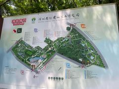 -深圳国际园林花卉博览园