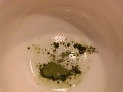 -雪绿茶博物馆