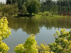 -东郊湿地公园