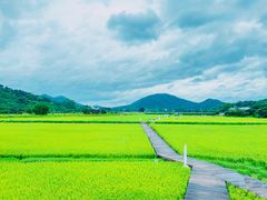-艾米稻香小镇